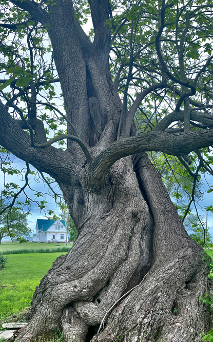 Overcoming Inner Obstacles to Career Success